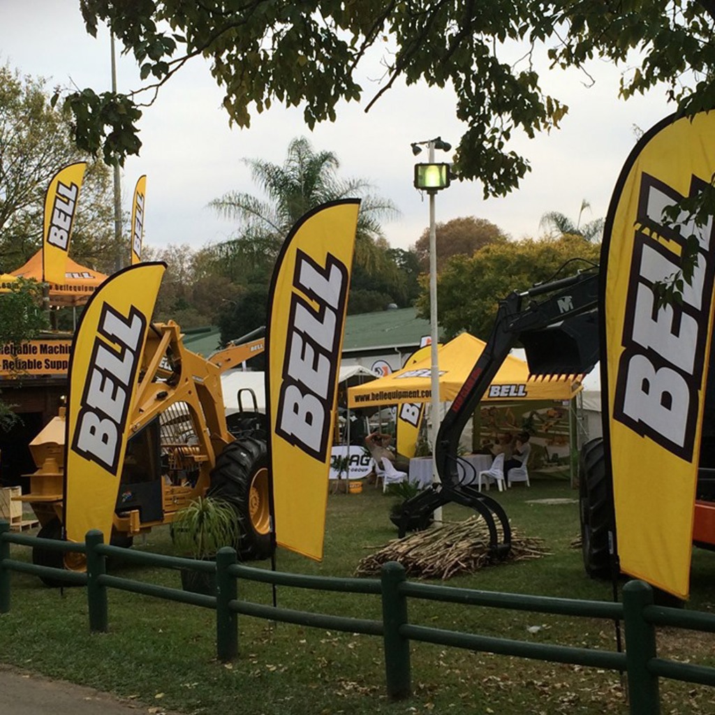 Outdoor flag display
